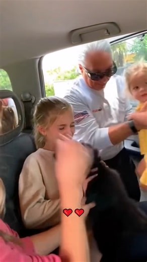 Wholesome surprise moments animalstory animallover petsoftiktok a... | Chicago Rescue Dog Rangers