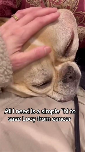 POV: You watched 3x and wrote random words to help #fyp #viral #fypage