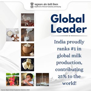 12 reactions | #1 in global milk production! India contributes 25% of...