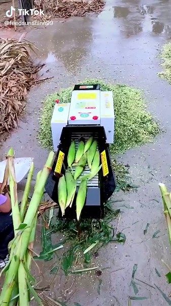 Efficient Green Leafy Vegetable Harvester Operation