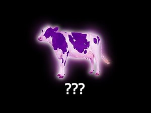 16 Cow "Moo" Sound Variations in 30 Seconds