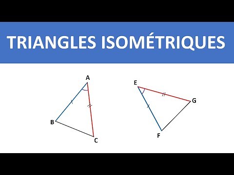 ISOMETRIC TRIANGLES (COURSE) ► 3RD YEAR COLLEGE - 3APIC BIOF