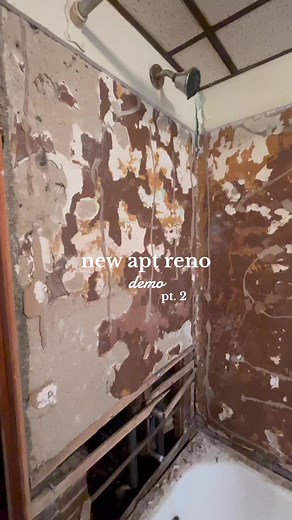 Moving and renovating an apartment at the same time with a three week turn time.. yeah we got this #demo #apartment #renovation