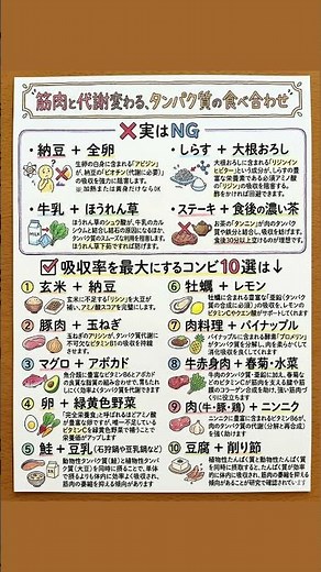 【筋肉と代謝が変わる、タンパク質の食べ合わせ】