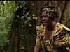 Taking Root: The Vision of Wangari Maathai