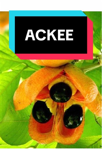 Health Benefits of Ackee Fruit You Should Know