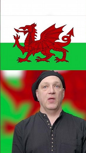 The Welsh Symbols of St David's Day