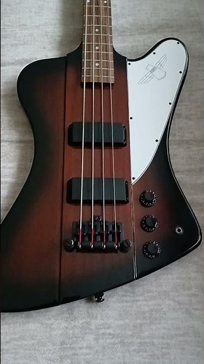 New Epiphone Thunderbird #guitar #thunderbird #guitarist #bass #bassguitar #collection