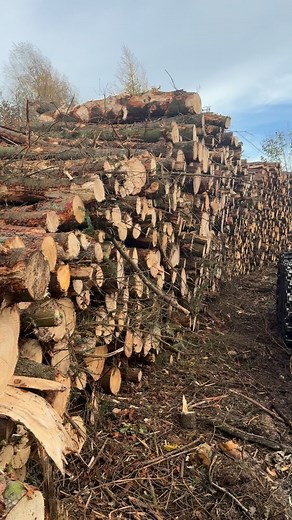 1.3K views · 608 reactions | Lorries rollin non stop! #forestryequipment #forestry #logging #forest #forestrymachinery #forestrylife #forestrywork #logginglife #logmax #loggers #bclogging #loggingequipment #trees #harvester #nature #canadianlogging #logs #loggerlife #bcforestry #forestryfeedsmyfamily #bcloggers #heavyequipment #forestrymagazine #britishcolumbia #canadianloggers #sustainability #forestrynews #truckloggers #forestrymulching #logger  | Glen Cadwallader | Facebook