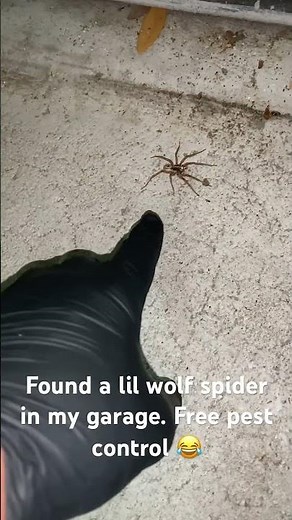 Free Pest Control in US | Call Now: 844-817-0084 | #pestcontrol #shorts