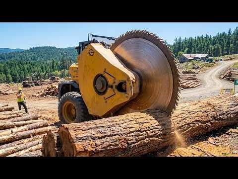 Unbelievable! A giant saw blade completely devours a massive log - The sound of machinery.