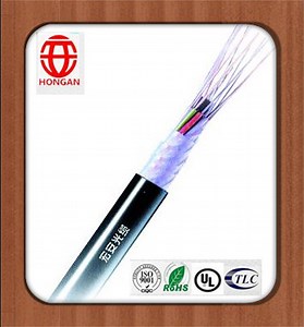 [Hot Item] 24 Core Non-Armored Optical Fiber Cable in Excellent Water-Blocking Performance