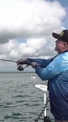 Shallow Snapper Fishing with ZMan 2.5" GrubZ. #fishing #snapper #shorts #softplastics #zman #grubz