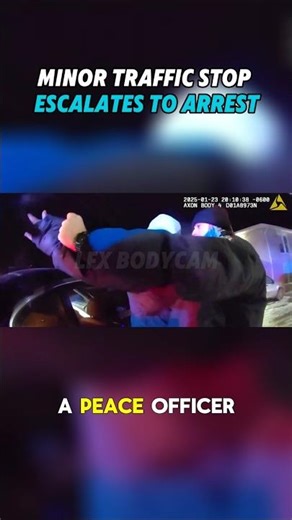 Routine Traffic Stop Escalates — Cannabis Found