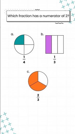 Which One Has a Numerator of 2? (Easy Fraction Test)