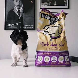 Your beloved pet deserves the very best. That's why our premium range of pet food is 100% natural, wholesome and nutritionally positive, and made from UK-sourced ingredients of the highest quality. ✓ Free from artificial colourings ✓ Free from artificial flavourings ✓ Free from artificial preservatives | Barking Heads and Meowing Heads