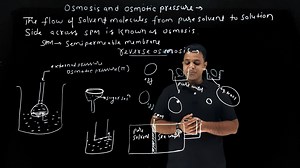 1.5K views · 83 reactions | New Innovative Online Teaching Concept by SIA, Losal One More Step Towards Online Learning........ | Shekhawati International Academy | Facebook