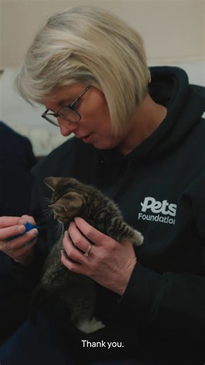 The Pets Foundation Easter appeal is now live. Help raise funds for Cardiff Dogs Home, The Rescue Hotel by donating in Pets at Home Cardiff Bay before Easter Monday. | Cardiff Dogs Home, The Rescue Hotel
