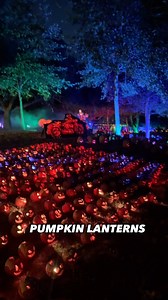 The REAL Unique Finds Pumpkin Lantern Festival Edition Magic of The Jack Lanterns is a must if you are looking for a fun immersive experience near LA! They have miles of endless pumpkin and let me tell you guys they light up and give you a show. 📍Magic of The Jack o lanterns, South El Monte California $14 Admission Opens 6pm Tip: Go early during the week! #pumpkinpatch #immersiveexperience #pumpkincarving #uniquefinds #thingstodoinla #immersive #lanternfestival #travelideas #weekendplans #visit