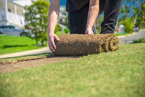 Laying Turf | How To Lay Turf In 5 Easy Steps | Turfco