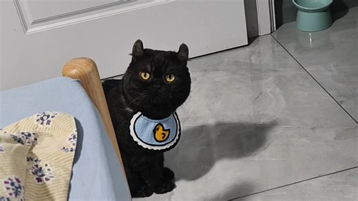 大家经常问李逵的品种问题，今天就用这个视频统一回复一下～