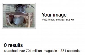 TinEye image search helps ferret out copyright ripoffs