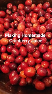 Making homemade cranberry juice ❤️ this is such a beginner friendly recipe if you're starting your homesteading journey. 1 1/2 cups fresh Cranberries 1/2 sugar (optional) Water #cranberryjuice #diycranberryjuice #fruitjuice #homesteading #homesteadlife #cranberryrecipes #easyrecipes #canningandpreserving | Ellie Bagwell