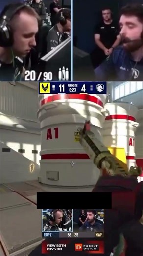 why ropz is the smartest player