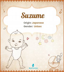 Suzume Name Meaning: Everything You Need To Know Name Meaning, Origin, History, And Popularity