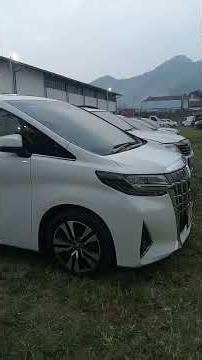 🚕 ||just imagining guys.. I want a car like this☺️ || Toyota Alfard || #automobile #carcollection