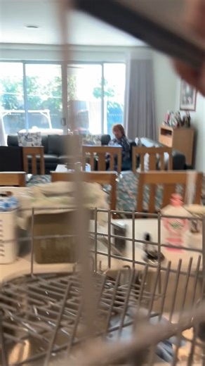 Wise Appliance Service on Instagram: "🔥 Smeg Dishwasher Fault 🔥 No water filling. Found water in the base and a strong burning smell 😬 Main motor affected — circulation pump leaking and needs replacement. #Smeg #SmegDishwasher #DishwasherRepair #ApplianceRepair #ServiceCall #PumpFailure #HomeAppliances"