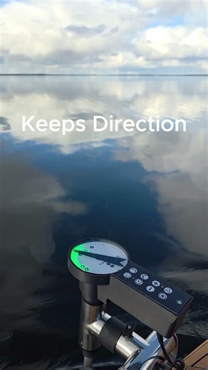 FishLock Gyro Mode | Direction Stays Locked