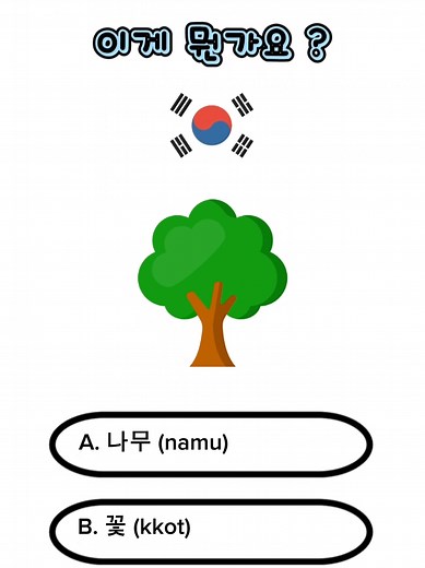 Learn Korean sur TikTok