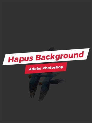 Cara Hapus Background di Adobe Photoshop Mau objek jadi transparan atau mau ganti background? Pakai fitur Remove Background, hasilnya cepat, rapi, dan bersih banget! 🔥🎨 #adobephotoshop #tutorialphotoshop #photoshoptips #removebackground #hapusbackground