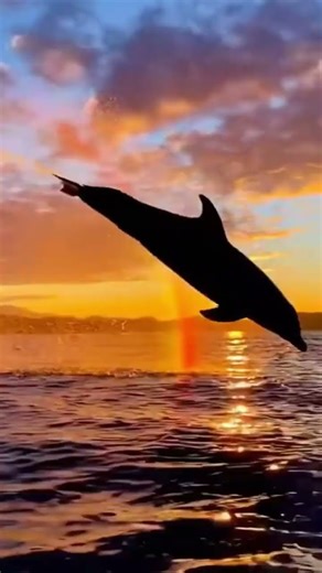 Perfectly Timed Animal Moments Caught on Camera