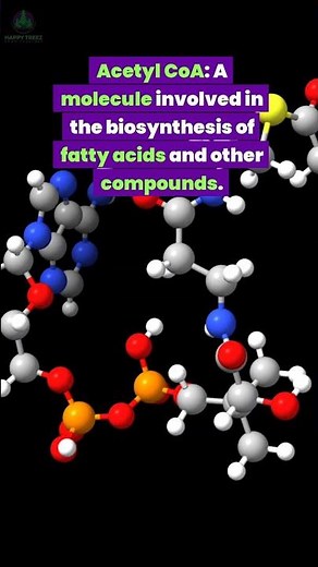 Acetyl CoA #botany #plantscience #naturediscovery #science #shortvideo #chemistry