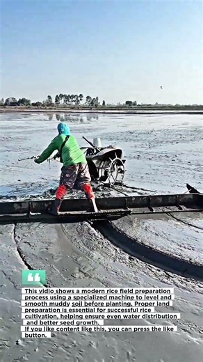 Modern Rice Field Preparation Using Machine