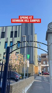 10K views · 62 reactions | Spring has officially arrived on campus  The Denmark Hill Campus is home to many of our postgraduate health courses. Join us for a tour of the facilities and learn about life at King's https://bit.ly/kcl-all-tours-2425-fb | King's College London | Facebook