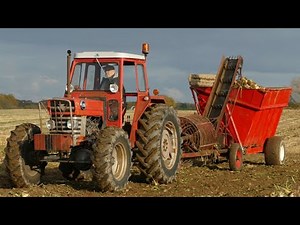 MASSEY FERGUSON 178 4WD Picking Up Beets In Denmark