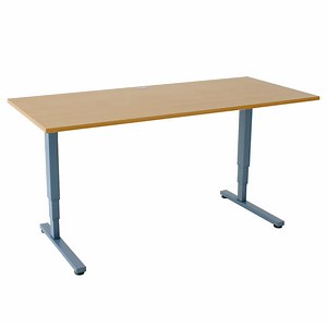 Freedom Electric Standing Desk