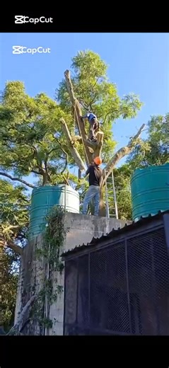 6f329414-f04f-4199-a276-ada3ee1b7fd0