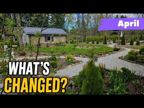 April Garden Tour: My Garden Looks Completely Different. Zone 4.