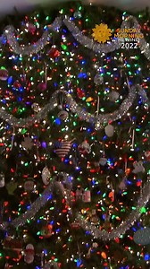 For more than three decades Mike and Mary Noonan have marked the holiday with a Christmas tree like no other: one that appears to extend two stories and pierce the roof of their Lincolnwood, Illinois, home. | CBS Sunday Morning