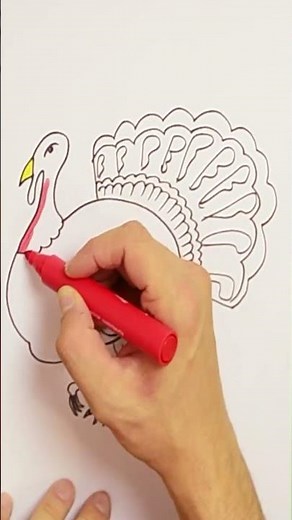 How to draw a realistic Turkey