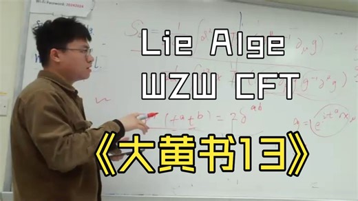 Lie Algebra, WZW CFT --Shunyao YU