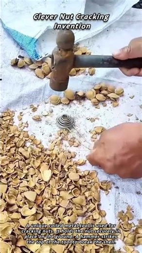Clever Nut Cracking Invention