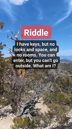 What has keys but no room 🤔 | Cheebs and Chow