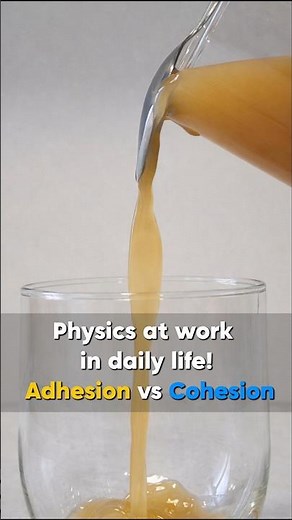 Physics at work in daily life! Adhesion vs Cohesion By VMC JEE