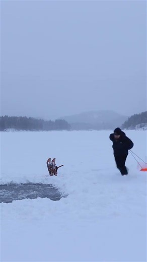 Surviving 24 Hours with No Water Source | Extreme Jungle Survival Challenge