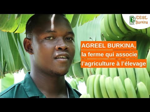 Burkina Faso: La ferme qui associe l’agriculture à l’élevage